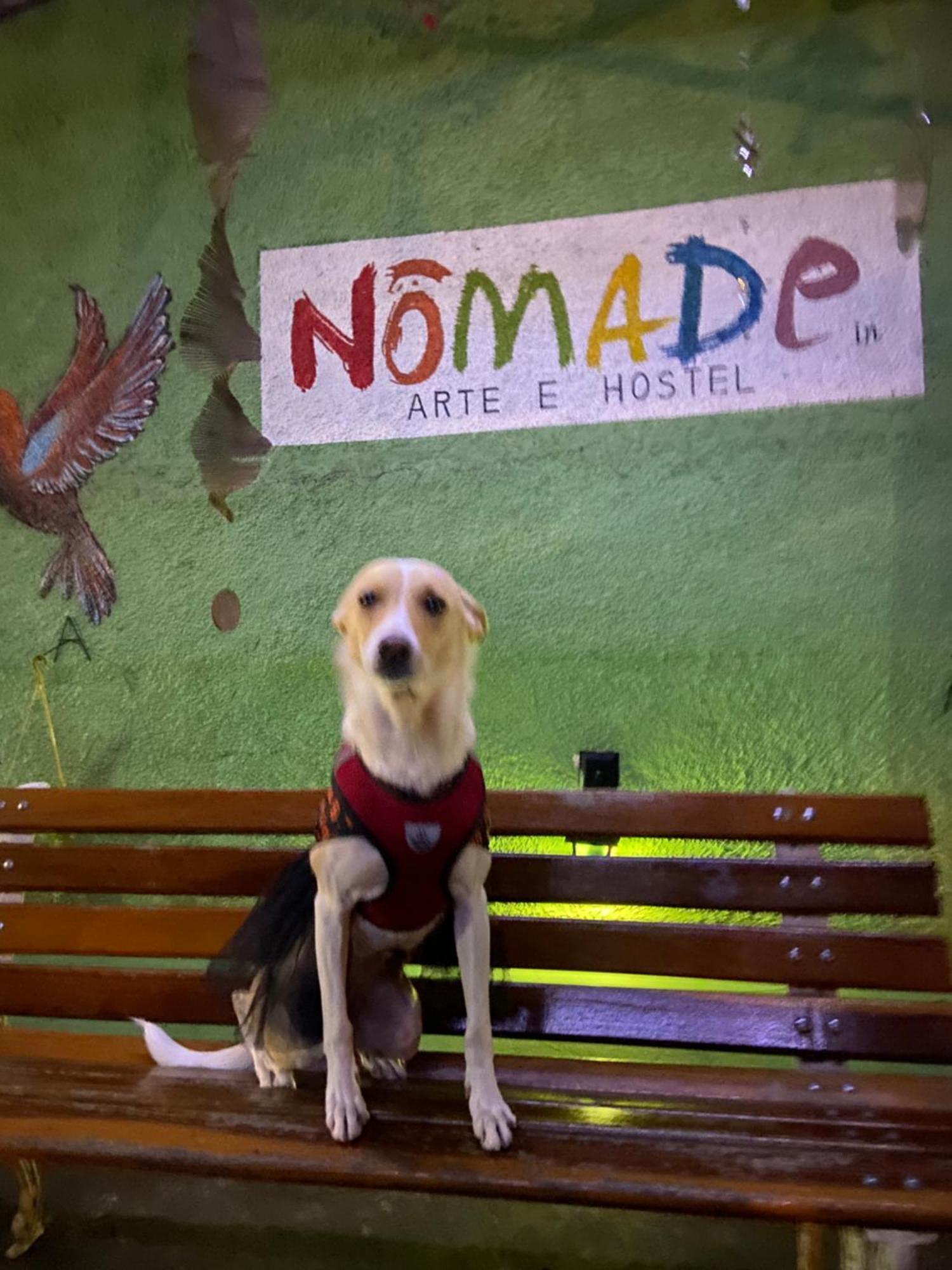 Nomade In Arte E Hostel São Paulo Kültér fotó